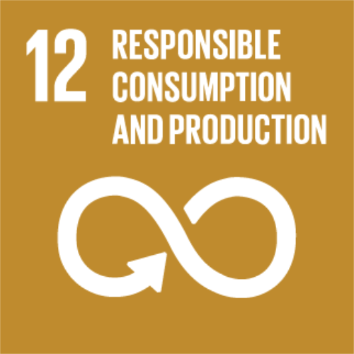 Responsible Consumption