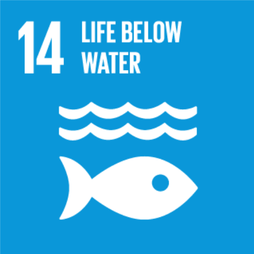 Life Below Water